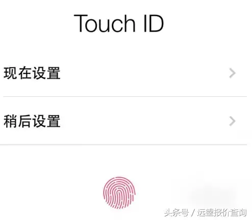 新注册的苹果id怎么激活商店(iPhone新机激活教程)