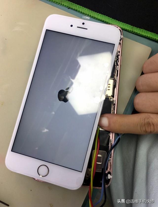 苹果手机换了屏不显示怎么办(苹果手机换屏幕后不显示)