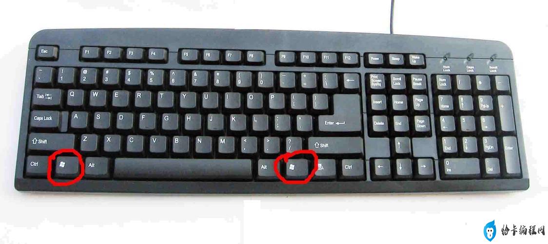 电脑键盘按哪个是复制(电脑键盘复制的常用快捷键)