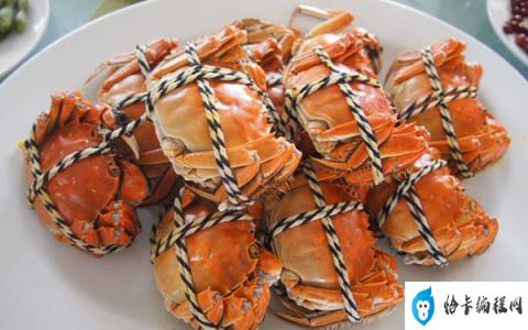 农历九月吃什么螃蟹(农历九月吃什么品种的螃蟹)