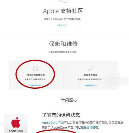 苹果11怎么查询激活时间(iphone激活时间查询方法)