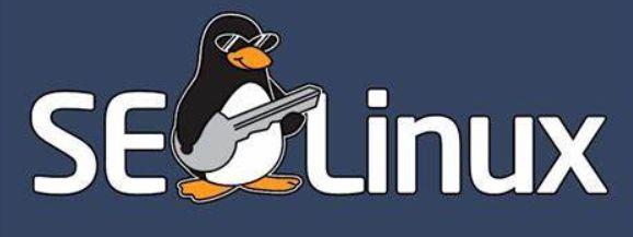 LinuxShell脚本实战:(系统防火墙和SELinux的关闭策略)