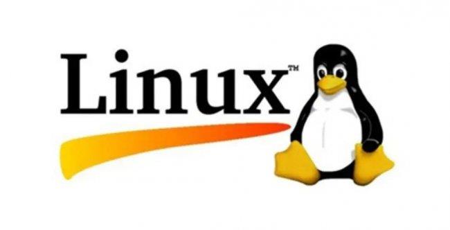 LinuxShell脚本实战：自动化磁盘I/O性能检测