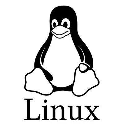 Linux操作系统：手动安装教程