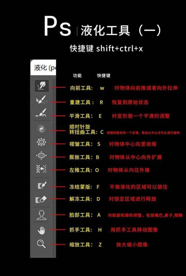 有关ps液化工具功能介绍(ps液化工具在哪里)