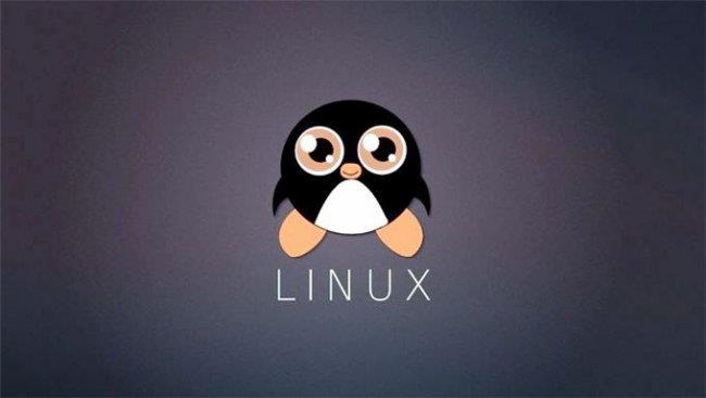 LinuxShell脚本编写实践：如何根据PID过滤进程所有信息