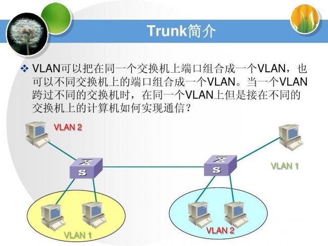 实战技巧：VLAN的划分方法详细解析