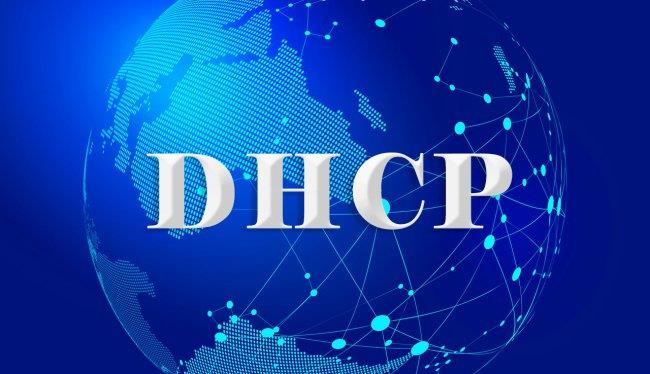 网络管理知识：DHCP释放地址命令详解