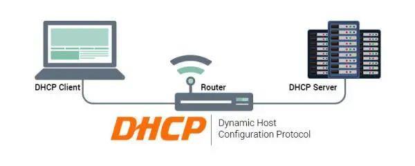 网络基础知识解析：什么是DHCP？