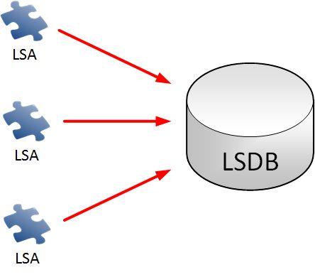 OSPF工作原理、建立邻接关系、路由计算详解