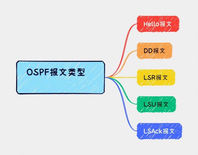 ospf报文类型有几种(＂有几种类型的OSPF报文？＂)