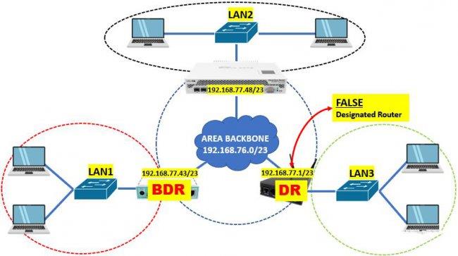 OSPFDR和BDR详解