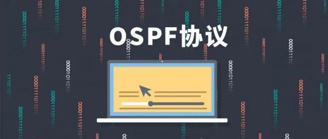 OSPF常见数据包格式(OSPF数据包结构)