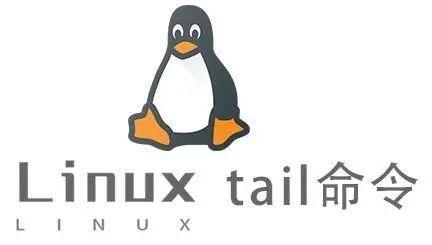 Linux命令深度解析：tail(-f命令的使用与实践)