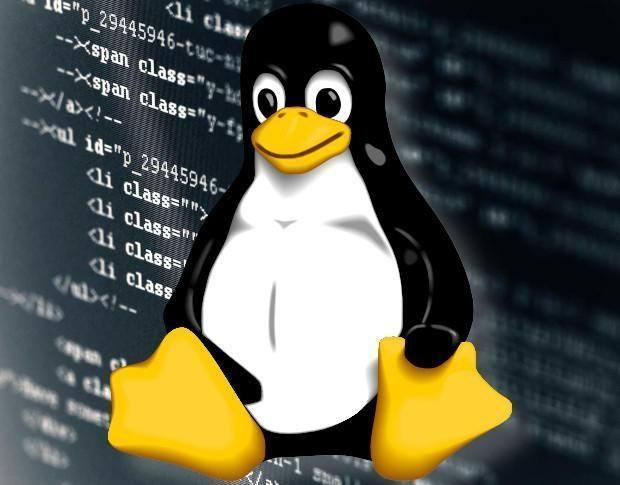 Linux系统中如何查看操作系统信息：详细指南