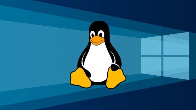 Linux环境下如何切换用户：步骤与命令详解