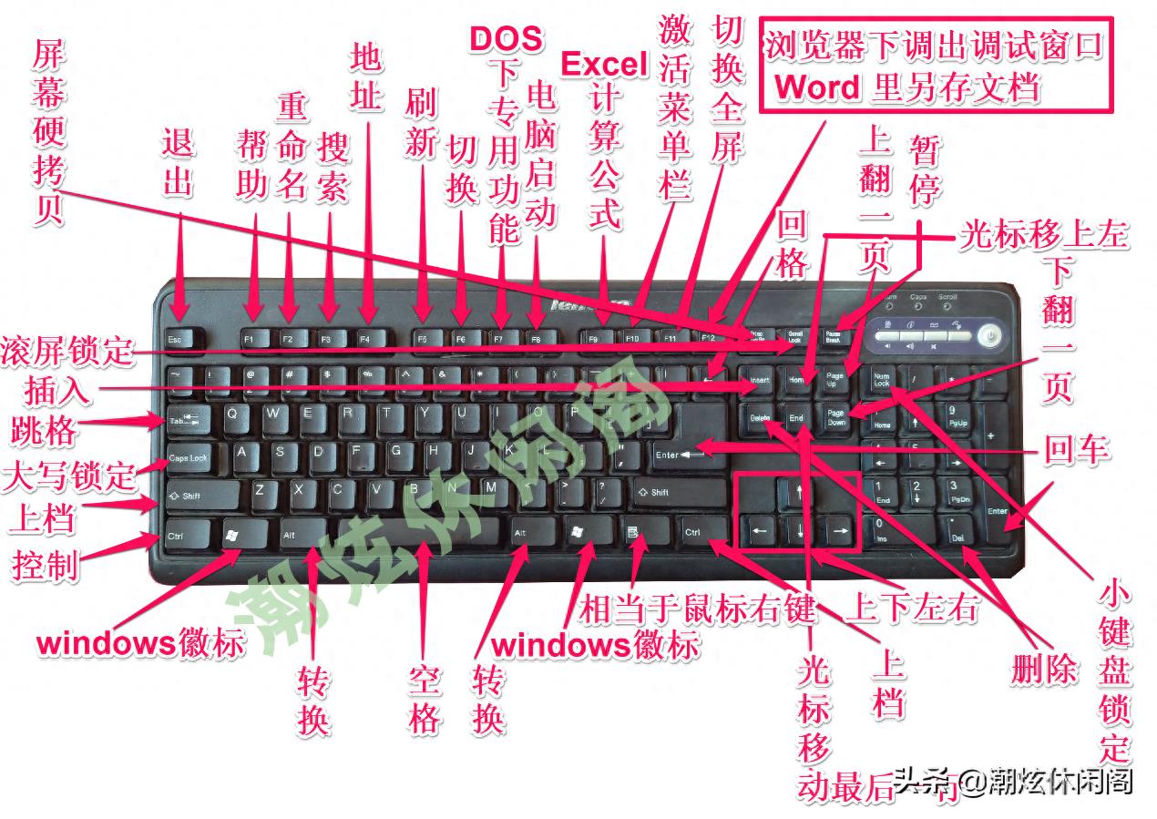 电脑入门零基础自学(电脑键盘键位图功能介绍)