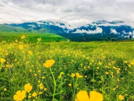 新疆旅游之5-6月新疆怎么玩比较好？5月新疆旅游合适吗