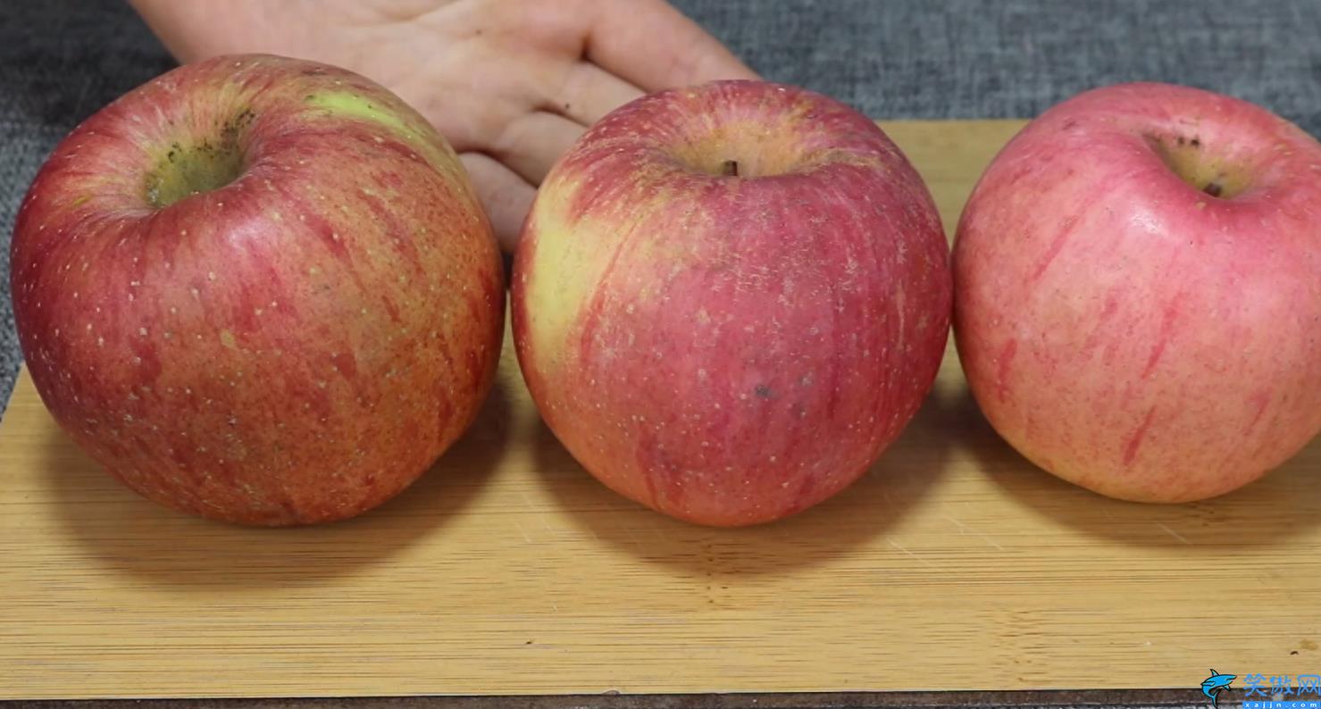 公母苹果区别图片(一眼就能识别又甜又脆的苹果)