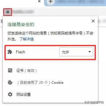 浏览器flash插件安装教学(浏览器flash在哪设置怎么设置)