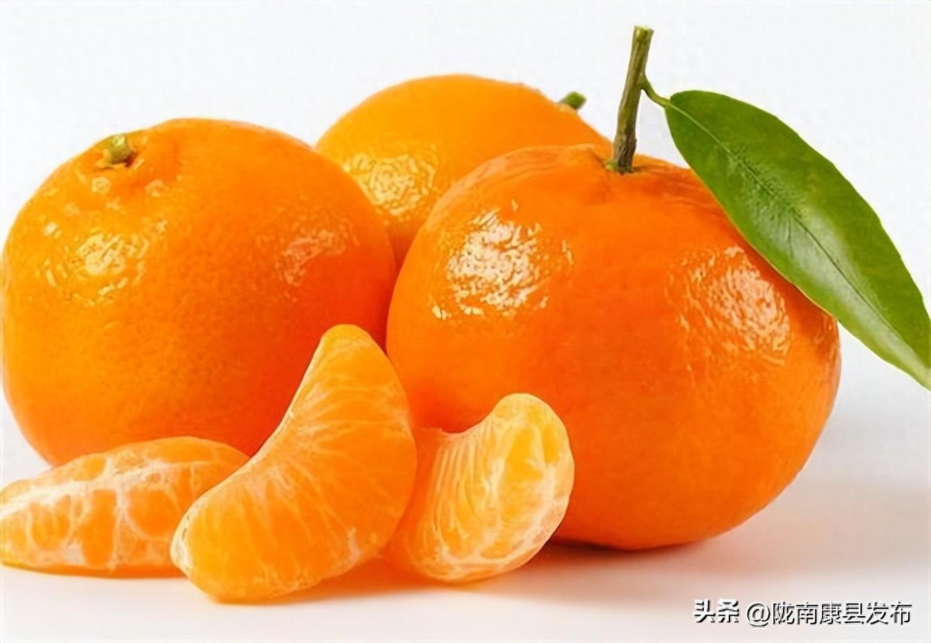 桔子与橘子有何区别()