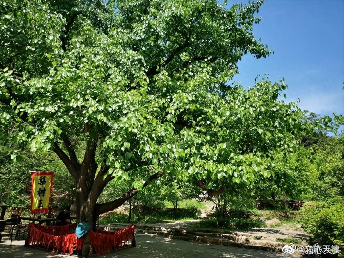 北京郊区度假最好的地方分享(北京郊游的地方有哪些)