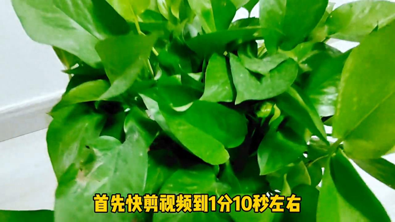 剪映怎么剪辑视频长短(手机短视频制作自学教程)