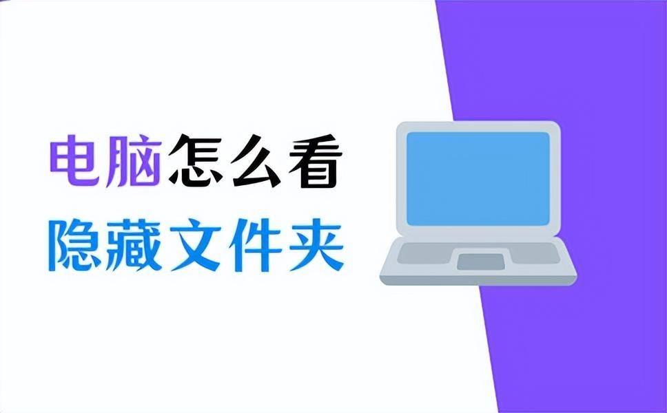 教你显示隐藏文件的步骤流程(win11怎么查看隐藏文件)