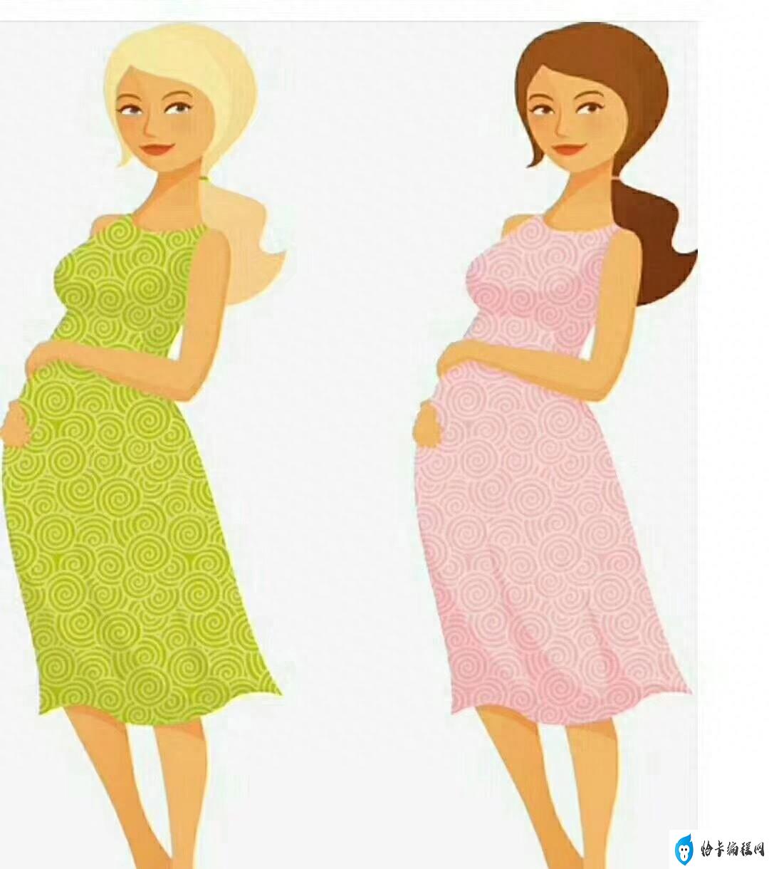 怀孕多久可以看出性别(怀孕几个月才能看出性别)