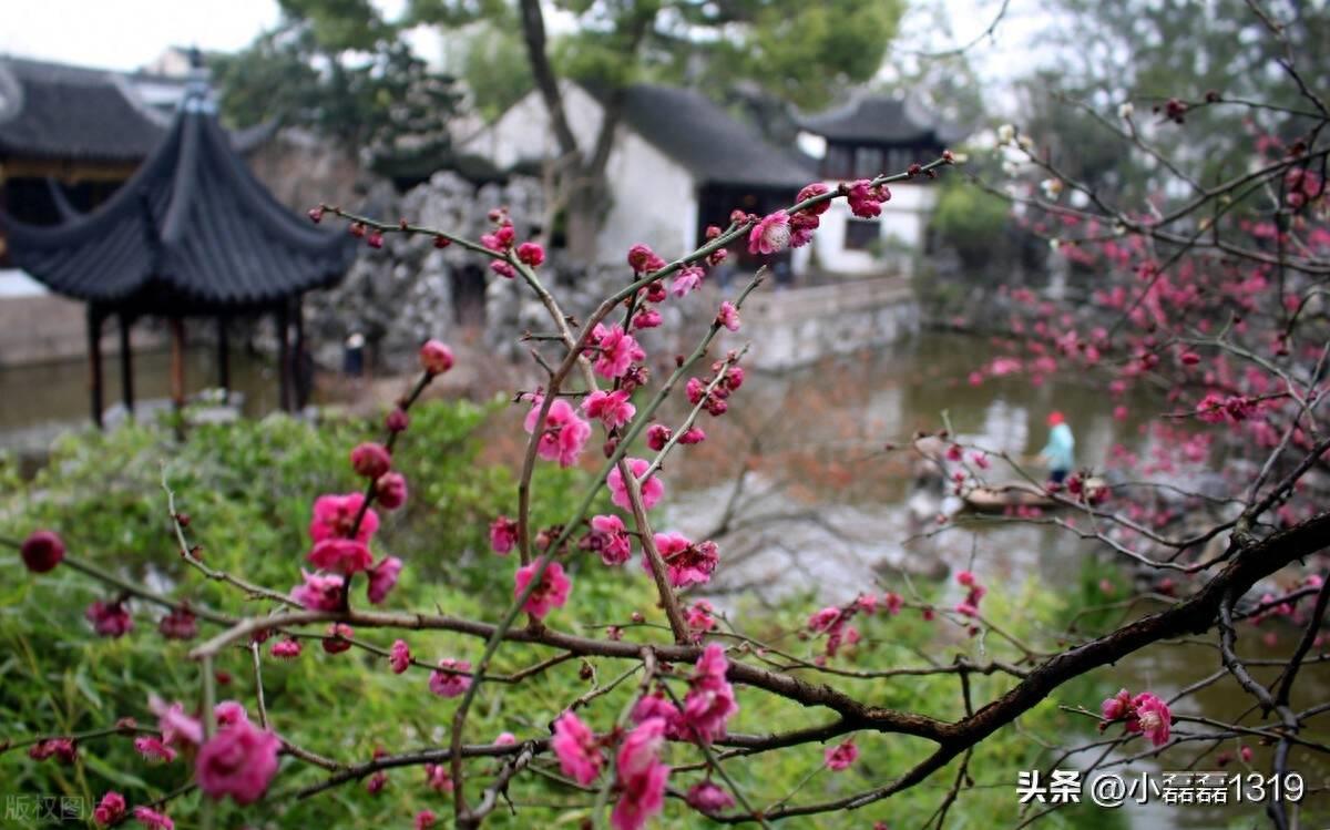 中国四大名园的著名景点(四大名园是指哪四个)