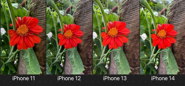 苹果11到14摄像头对比(iPhone各系列相机有什么区别)