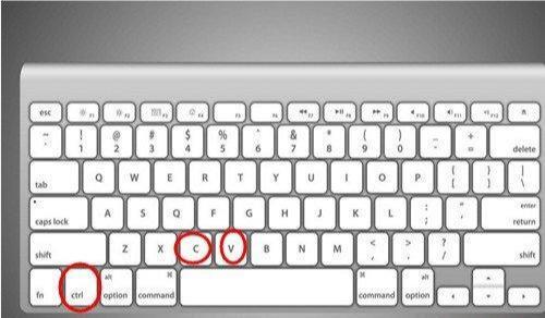 键盘怎么复制粘贴快捷键(电脑复制文字的操作方法)