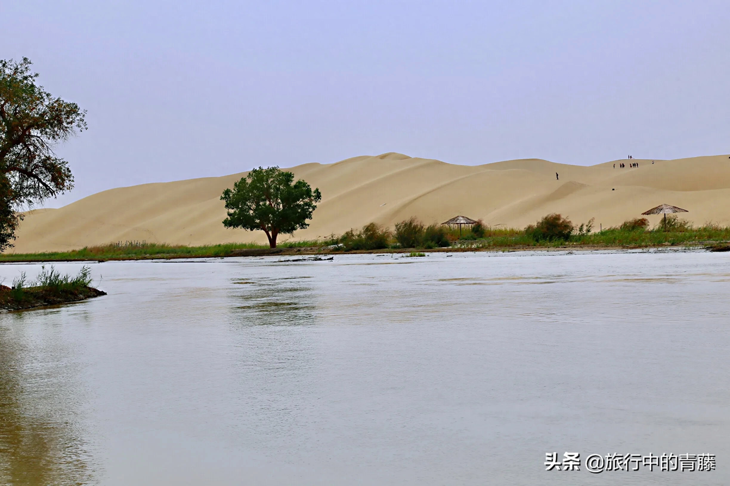 塔里木河全长2137千米(我国最大的内流河是什么河)
