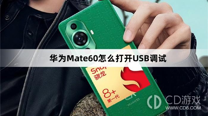 华为Mate60打开USB调试方法介绍?华为Mate60怎么打开USB调试