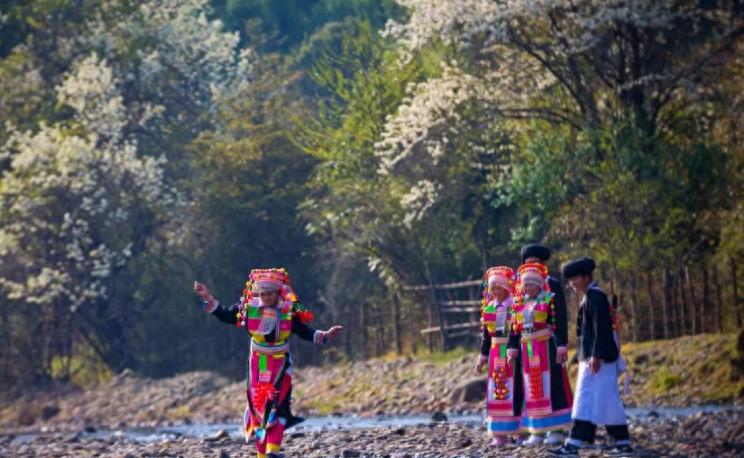 云南旅游经典线路分享(十一云南旅游最佳路线)