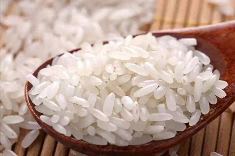 籼米和粳米的区别(粳米和籼米有什么不一样)