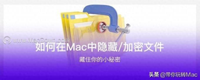 苹果隐藏软件方法(mac如何隐藏文件夹里的东西)