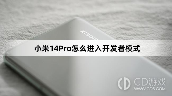 小米14Pro进入开发者模式教程介绍?小米14Pro怎么进入开发者模式