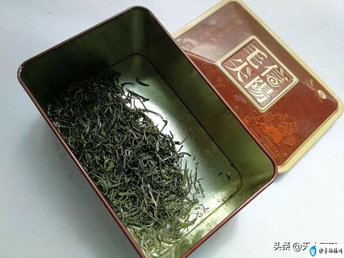 中国绿茶十大名茶排名(中国十大绿茶排名)-第3张图片