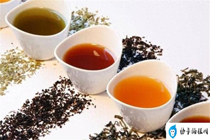 乌龙茶属于什么茶(乌龙茶属于红茶还是绿茶)