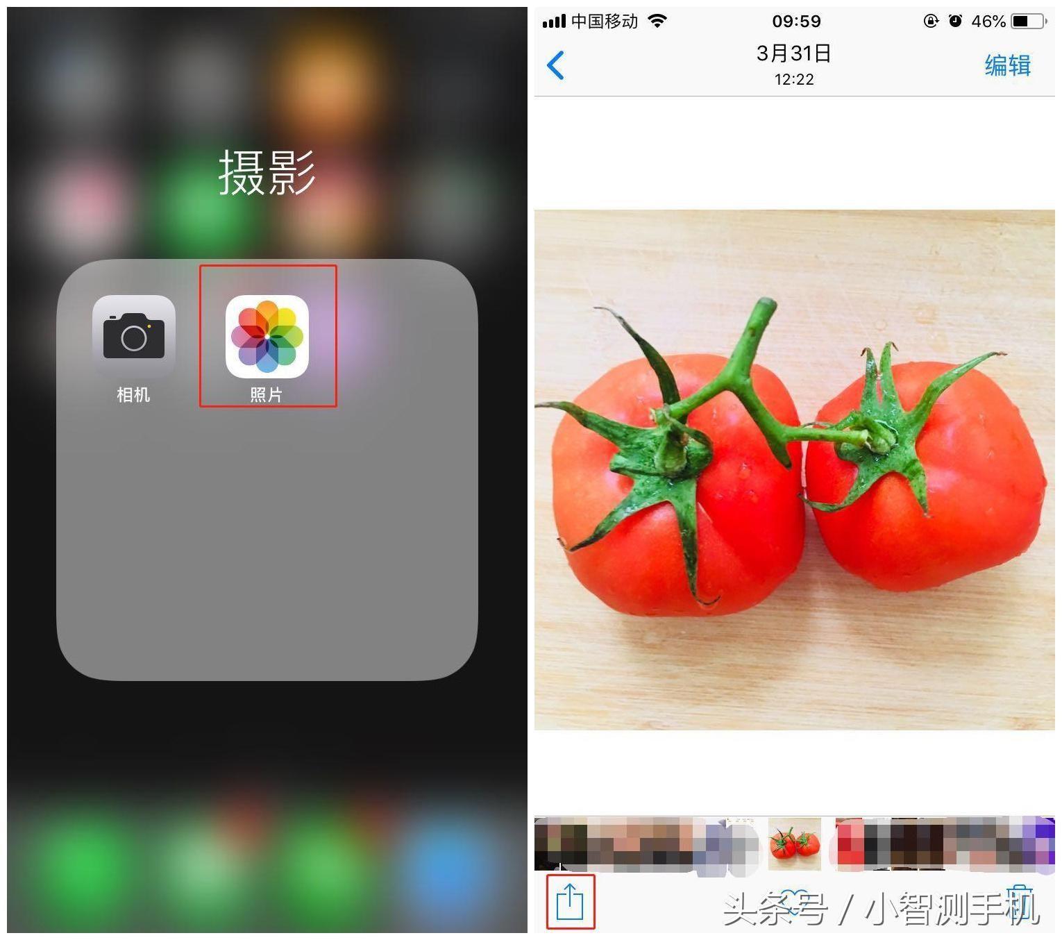 iphone咖色屏保怎么设置(苹果手机的壁纸主题在哪里设置)