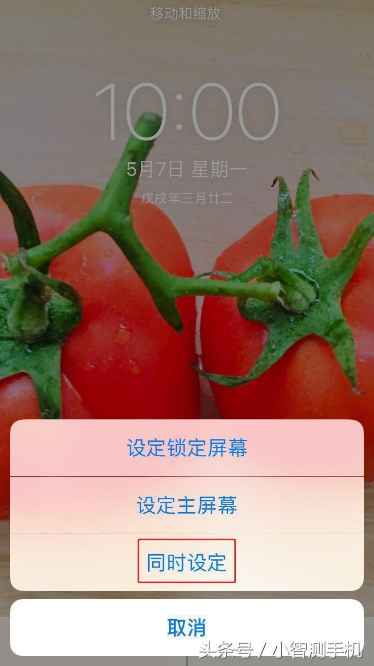 iphone咖色屏保怎么设置(苹果手机的壁纸主题在哪里设置)