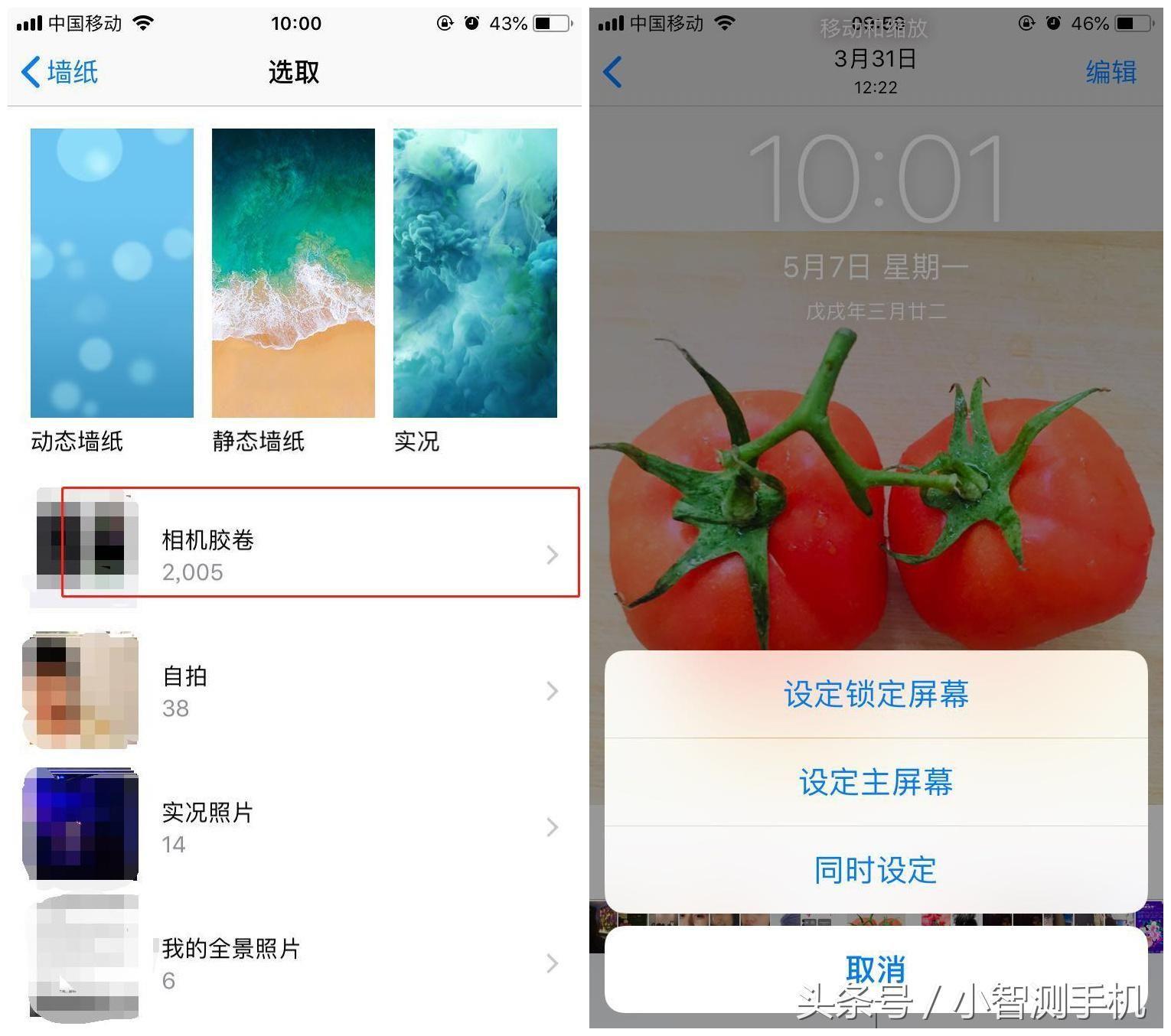 iphone咖色屏保怎么设置(苹果手机的壁纸主题在哪里设置)