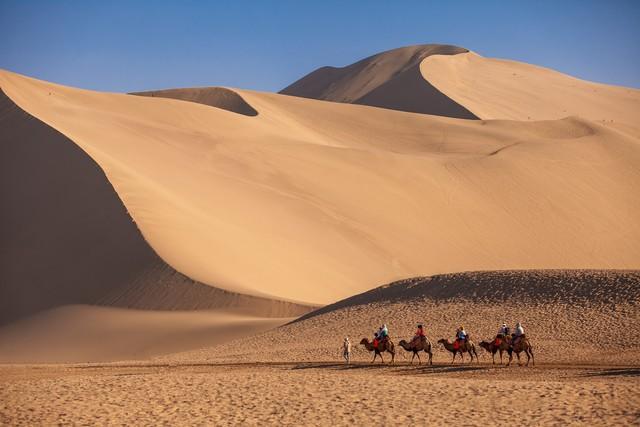 塔克拉玛干是世界第三大沙漠(我国面积最大的沙漠是哪个)