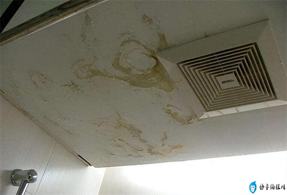 天花板漏水是楼上的原因吗(天花板漏水怎么办)