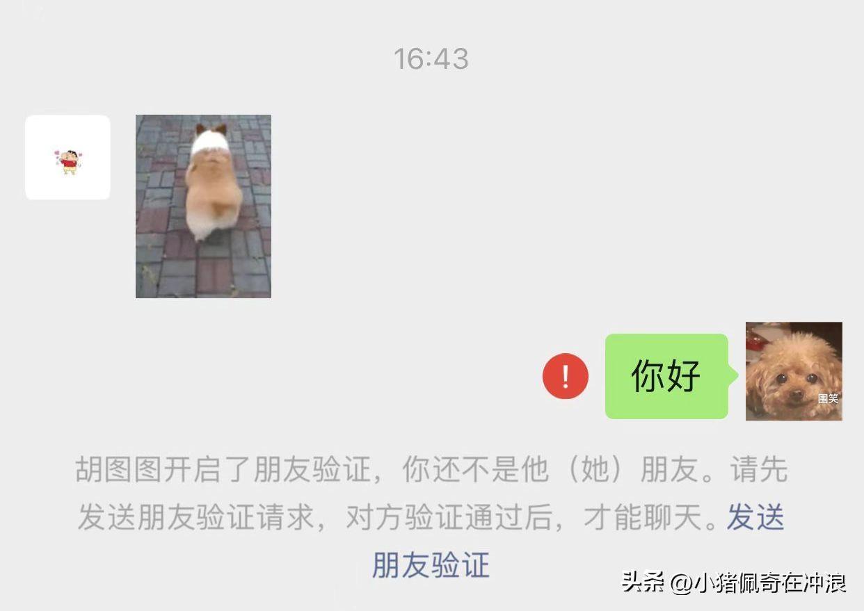 微信怎么删除黑名单里面的人(怎么彻底删除手机微信好友)