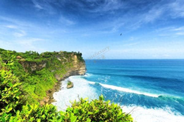 印度尼西亚巴厘岛旅游费用(巴厘岛旅游多少钱)