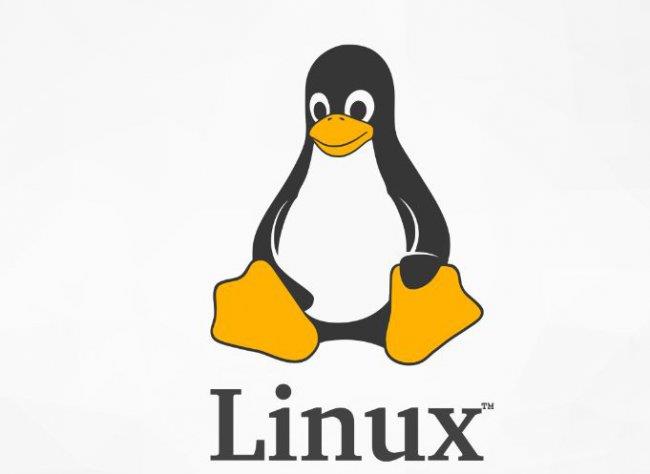 Linux内核显示、加载、卸载等超实用命令