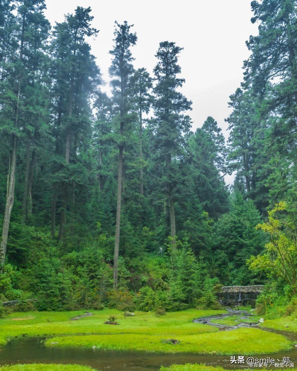 长白山旅游攻略最佳线路(长白山景点都有哪些)