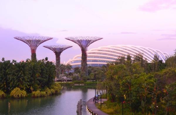 新加坡城市风景图片(新加坡好玩的景点有哪些)